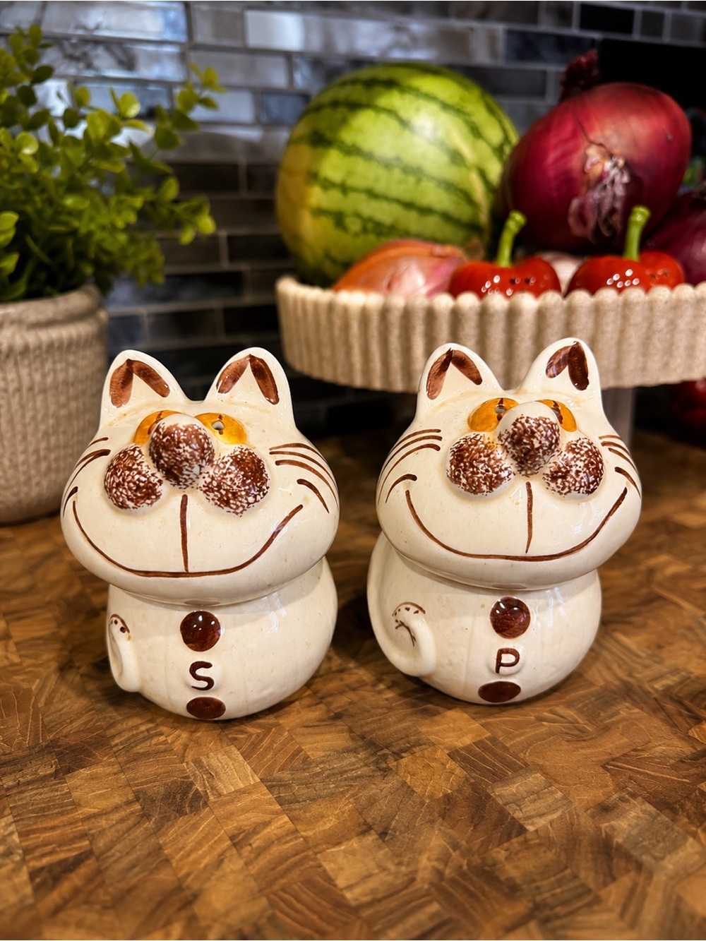 Vintage Ceramic Cat Salt & Pepper Shakers 🐱